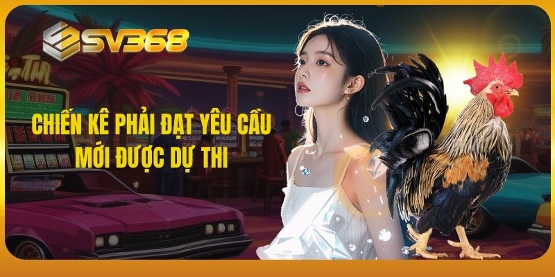 Chiến kê phải đạt yêu cầu mới được dự thi