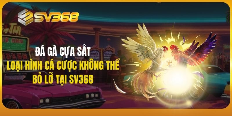 SV368 - đá gà cựa sắt