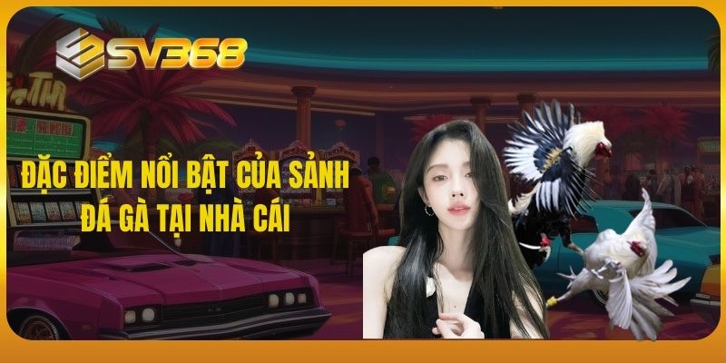 Đặc điểm nổi bật của sảnh đá gà tại nhà cái