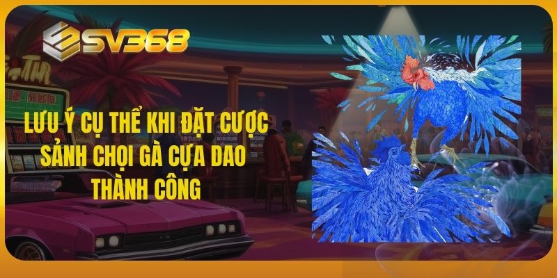 SV368 - Lưu ý cụ thể khi đặt cược sảnh chọi gà cựa dao thành công