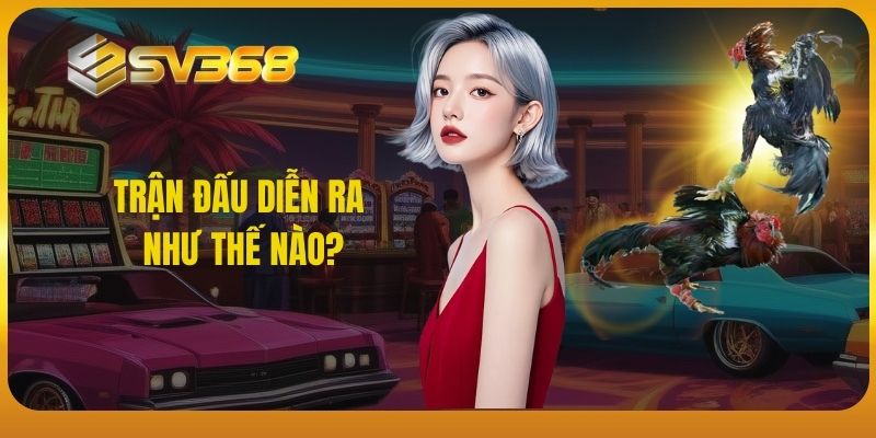 SV368 - Trận đấu diễn ra như thế nào?